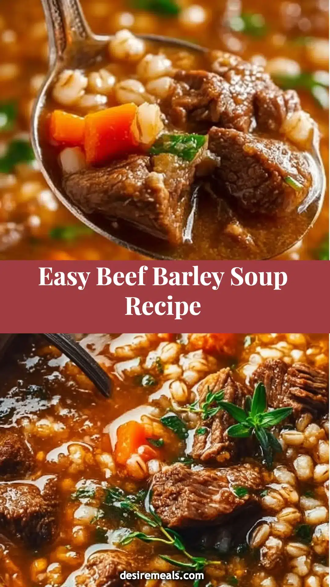 Easy Beef Barley Soup Recipe 6 Easy Beef Barley Soup Recipe