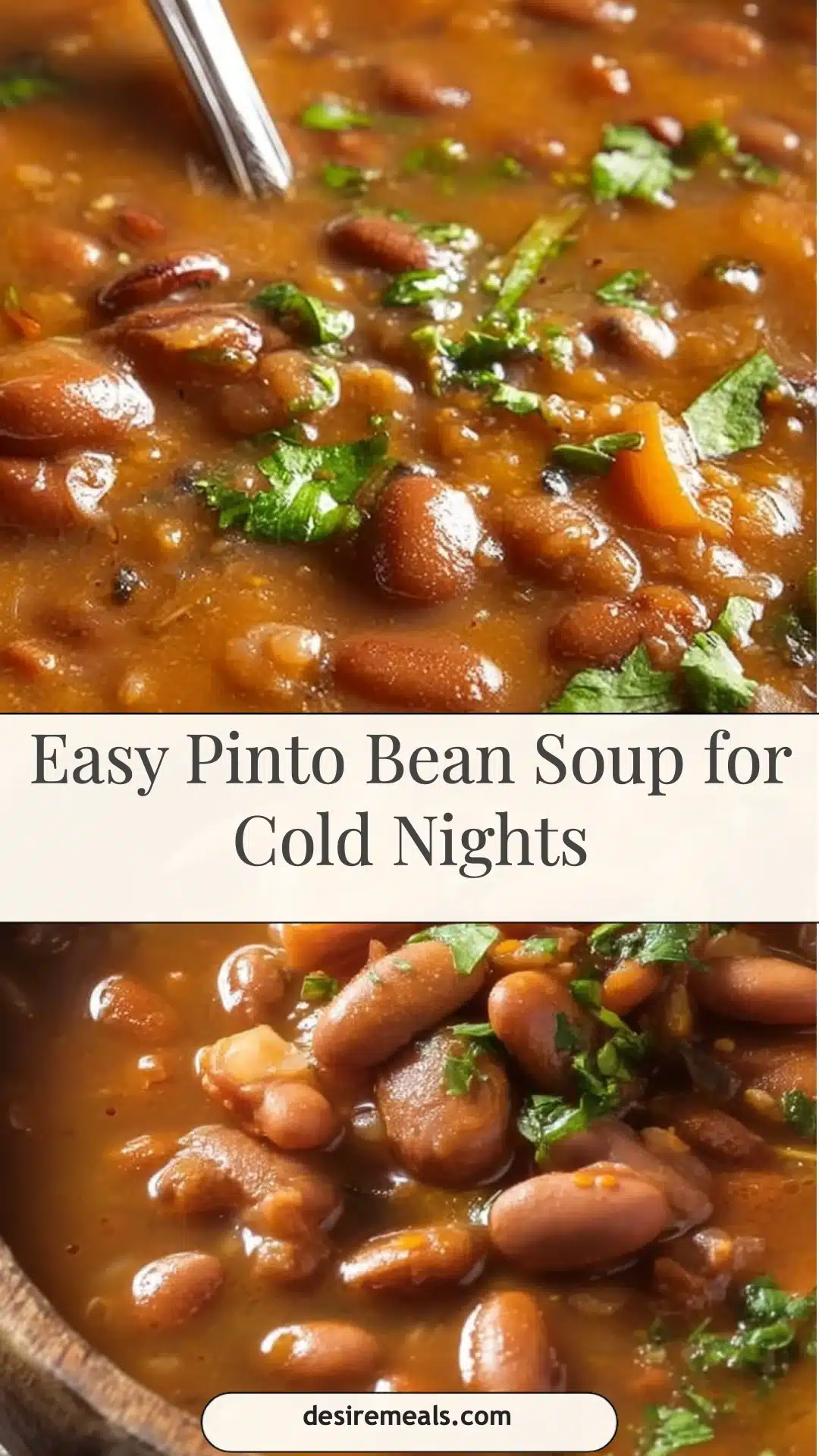 Easy Pinto Bean Soup for Cold Nights