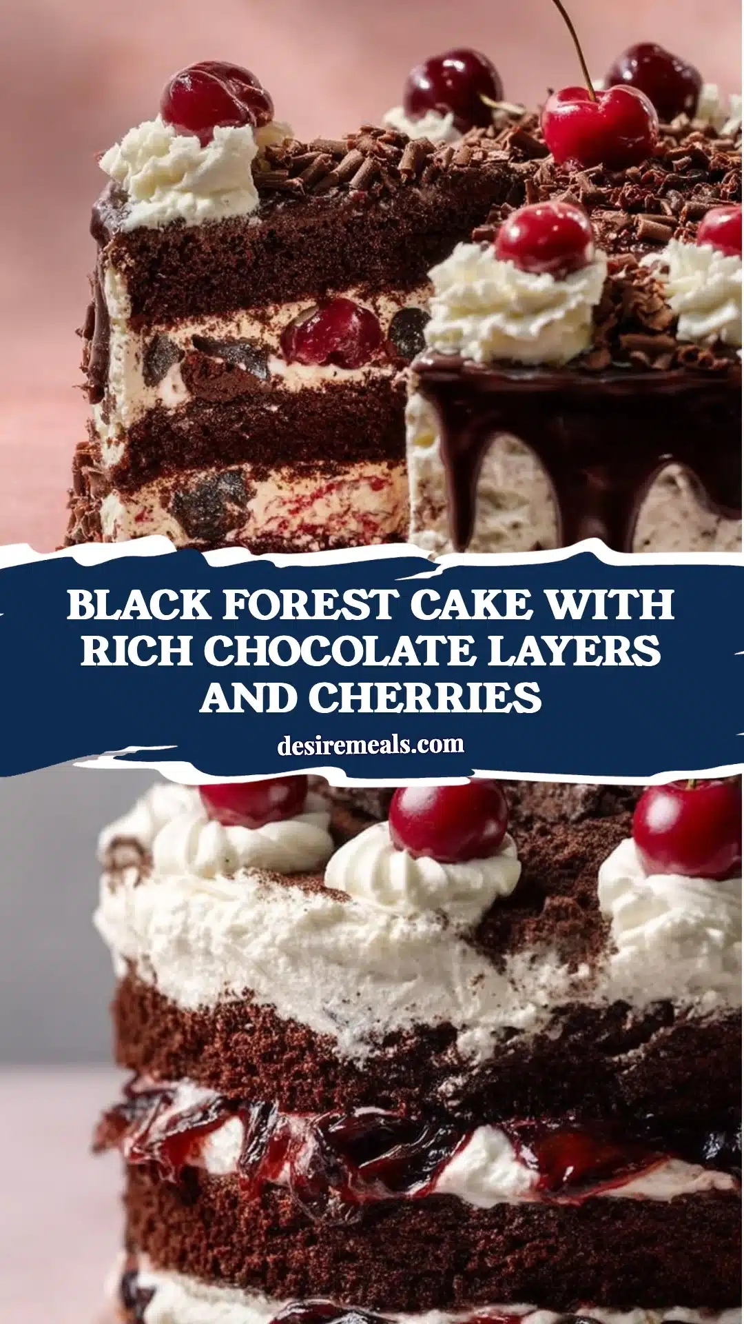 Black Forest Cake with Rich Chocolate Layers and Cherries