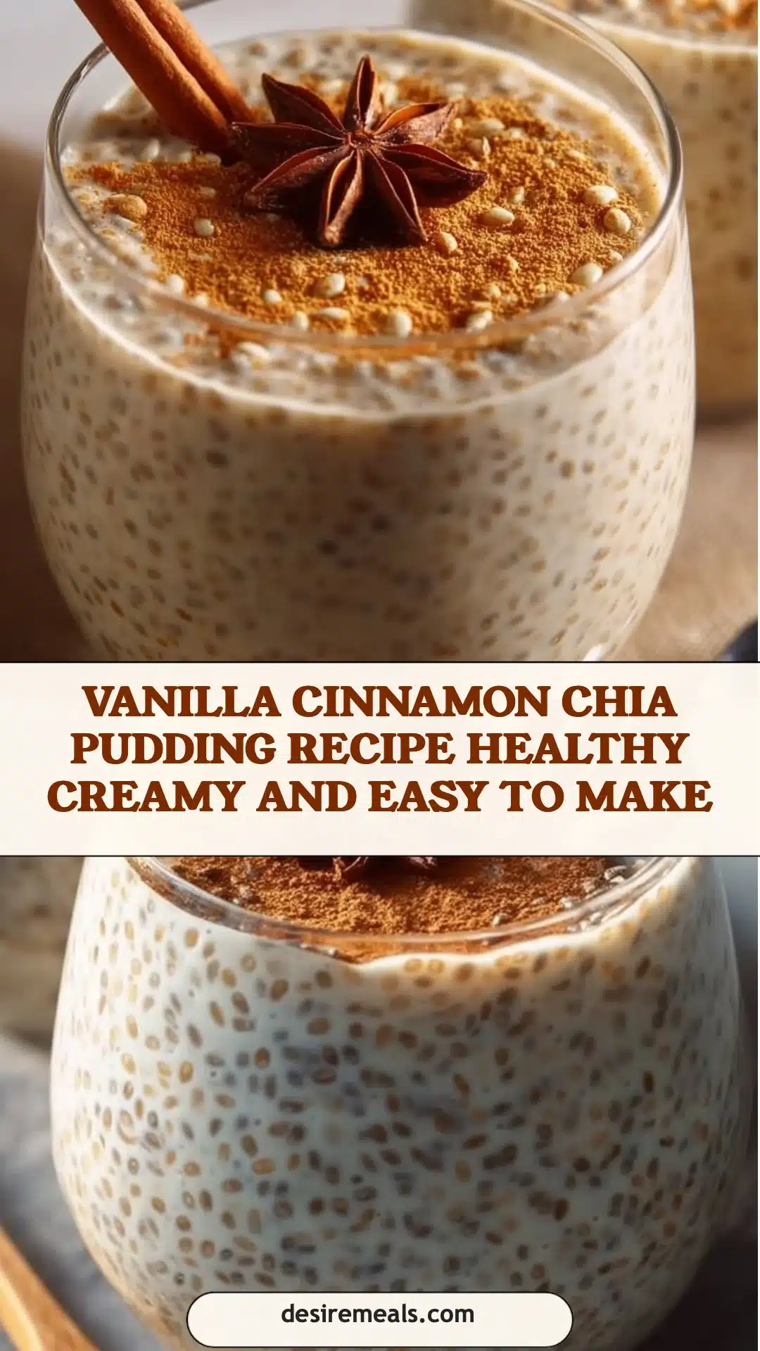 Vanilla Cinnamon Chia Pudding Recipe Healthy Creamy and Easy to Make