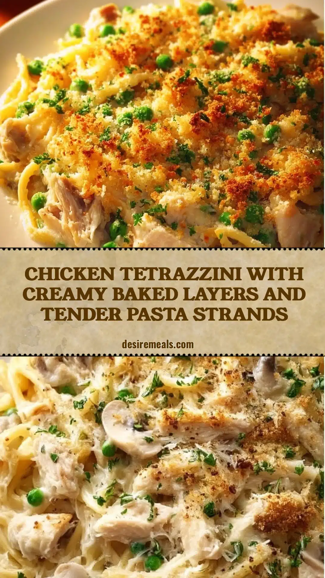 Chicken Tetrazzini with creamy baked layers and tender pasta strands