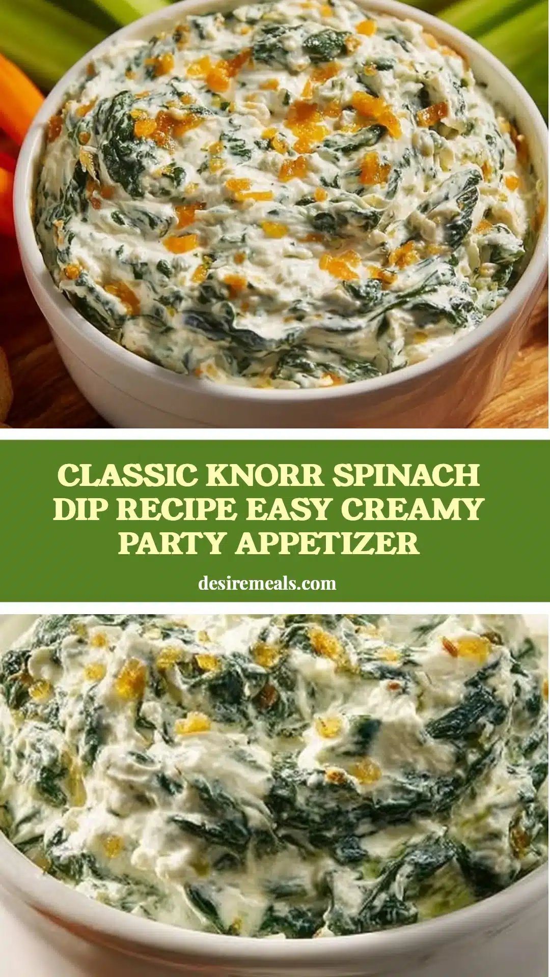 Classic Knorr Spinach Dip Recipe Easy Creamy Party Appetizer